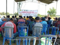 Ratusan Petani Kebumen Mengikuti Pelatihan Farmer Field Day Kementan