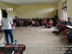 Program CSA Kementan Bantu Petani NTT Lebih Produktif