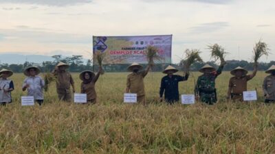 Implementasi CSA Kementan Tingkatkan Indeks Produktivitas Petani Subang