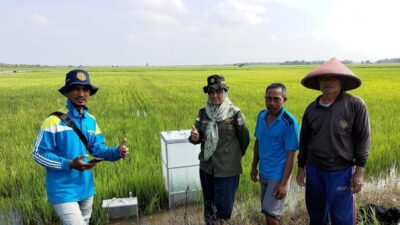 Terapkan Program CSA Kementan Untuk Hadapi El Nino, Petani Banyuasin Lakukan Pengukuran GRK