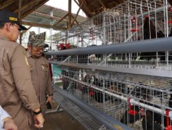 Mentan Tinjau Kesiapan Penyelenggaraan Penas XVI Petani Nelayan di Padang