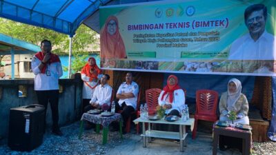 Kementan Bersama Komisi IV DPR RI Latih Petani dan Penyuluh di Maluku Tengah