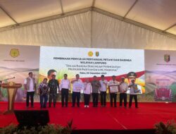 Bersama Penyuluh dan Petani di Lampung, Mentan Amran Bertekad Wujudkan Swasembada Pangan