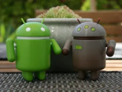 Mengatasi Ponsel Android Lemot dengan Mengosongkan Memori Penyimpanan