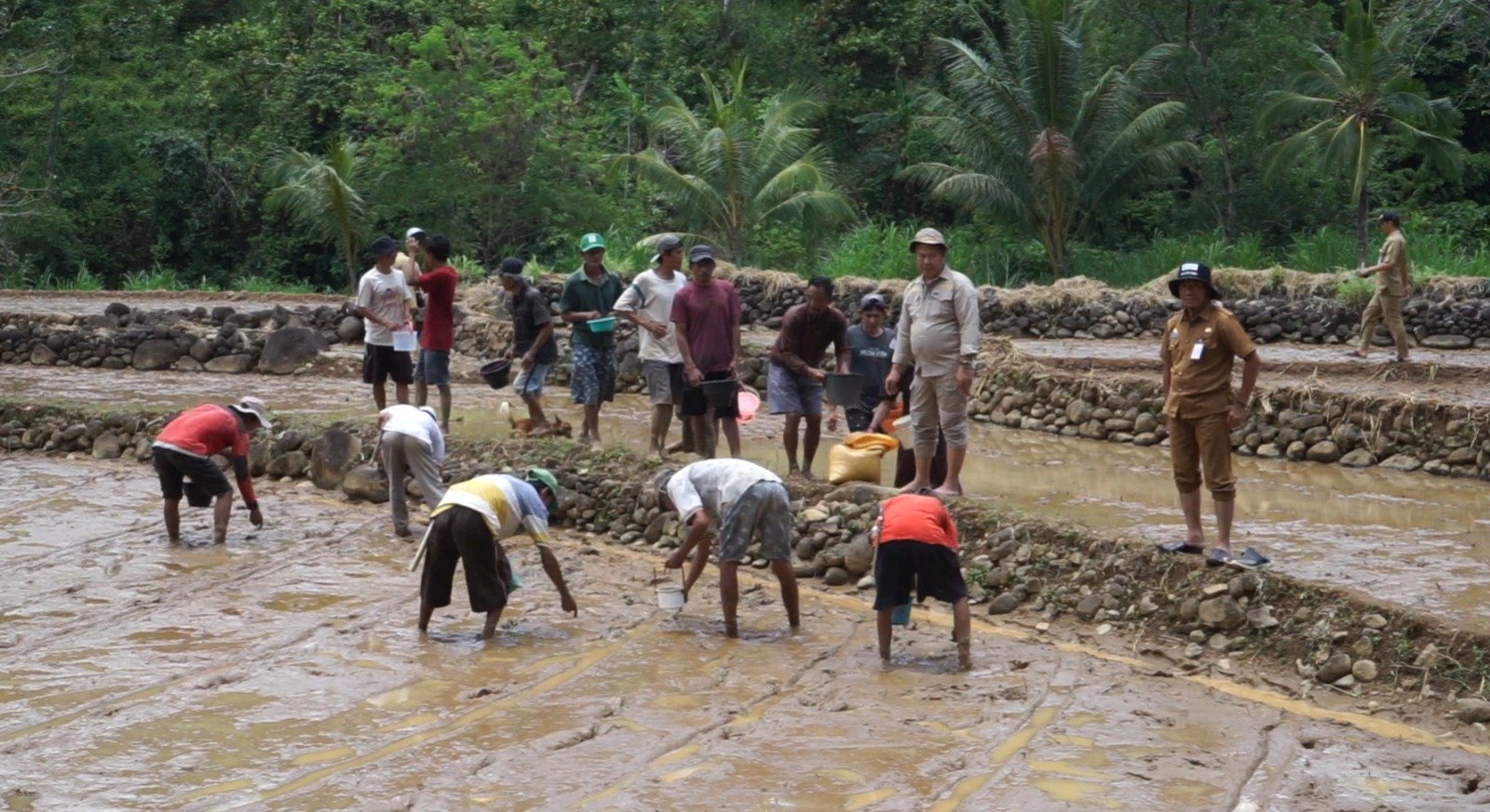 Program Pompanisasi
