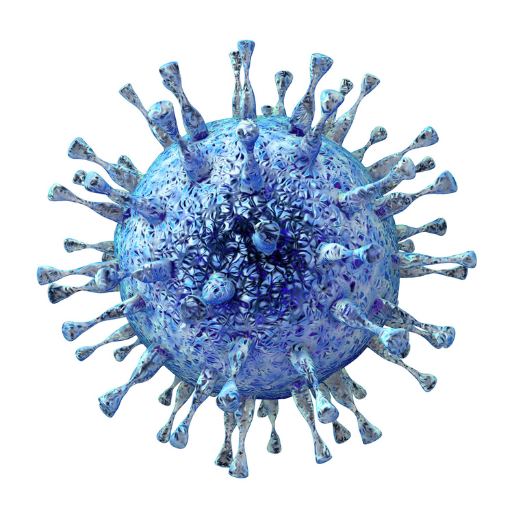 Cina Alami Human Metapneumovirus